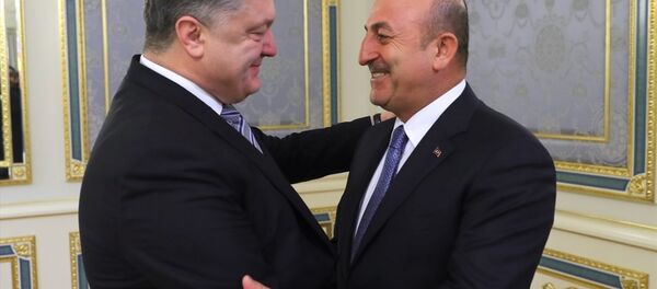 Mevlüt Çavuşoğlu -  Pyotr Poroşenko - Sputnik Türkiye