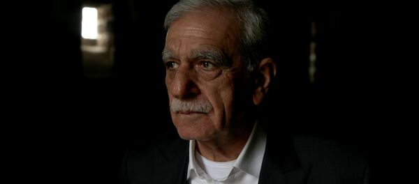 Ahmet Türk - Sputnik Türkiye