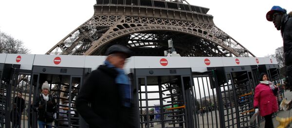 Terör saldırılarına karşı cam bir duvarla korumaya alınacağı açıklanan Eyfel Kulesi - Sputnik Türkiye