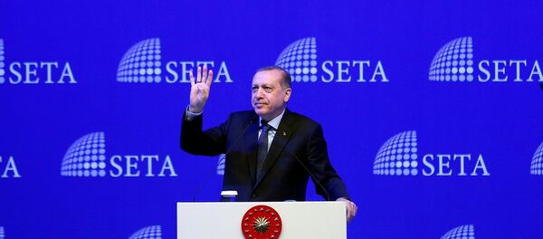 Cumhurbaşkanı Recep Tayyip Erdoğan - Sputnik Türkiye