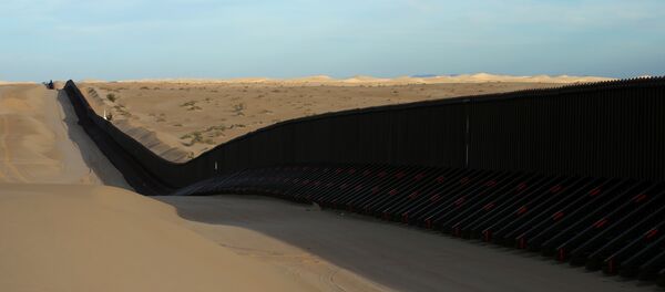 Kaliforniya / ABD - Meksika sınırı - Sputnik Türkiye