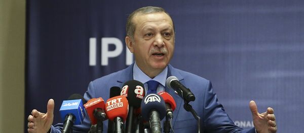 Cumhurbaşkanı Recep Tayyip Erdoğan - Sputnik Türkiye