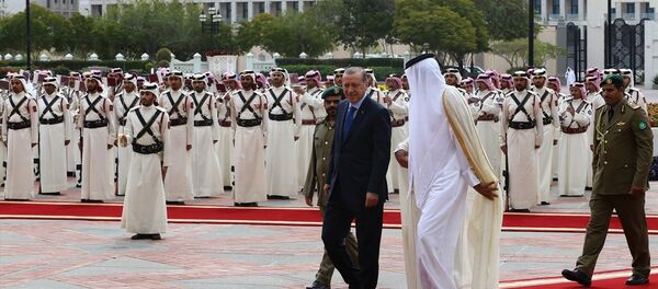 Cumhurbaşkanı Recep Tayyip Erdoğan Katar'da Cumhurbaşkanı Recep Tayyip Erdoğan Katar'da - Sputnik Türkiye