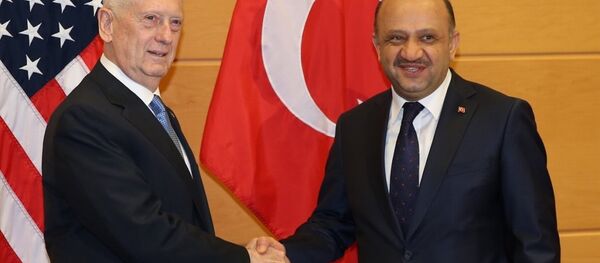 Fikri Işık - James Mattis - Sputnik Türkiye