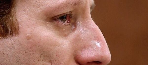 İranlı işadamı Babek Zencani - Sputnik Türkiye