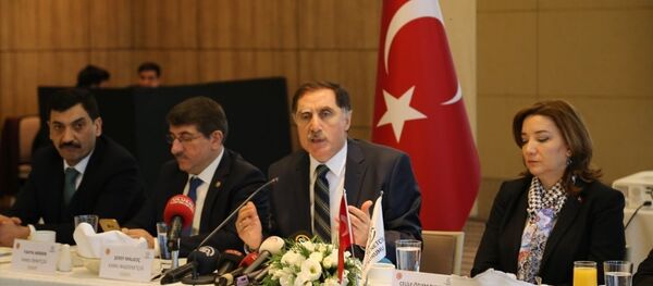 Şeref Malkoç - Sputnik Türkiye