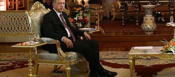 Recep Tayyip Erdoğan - Sputnik Türkiye