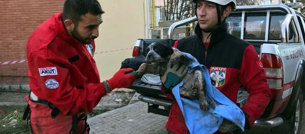 Kuyuya düşen köpek yavrusu kurtarıldı - Sputnik Türkiye