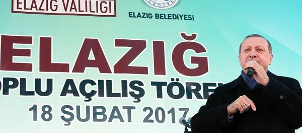 Cumhurbaşkanı Recep Tayyip Erdoğan - Sputnik Türkiye