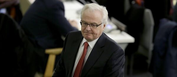 Vitaliy Çurkin - Sputnik Türkiye