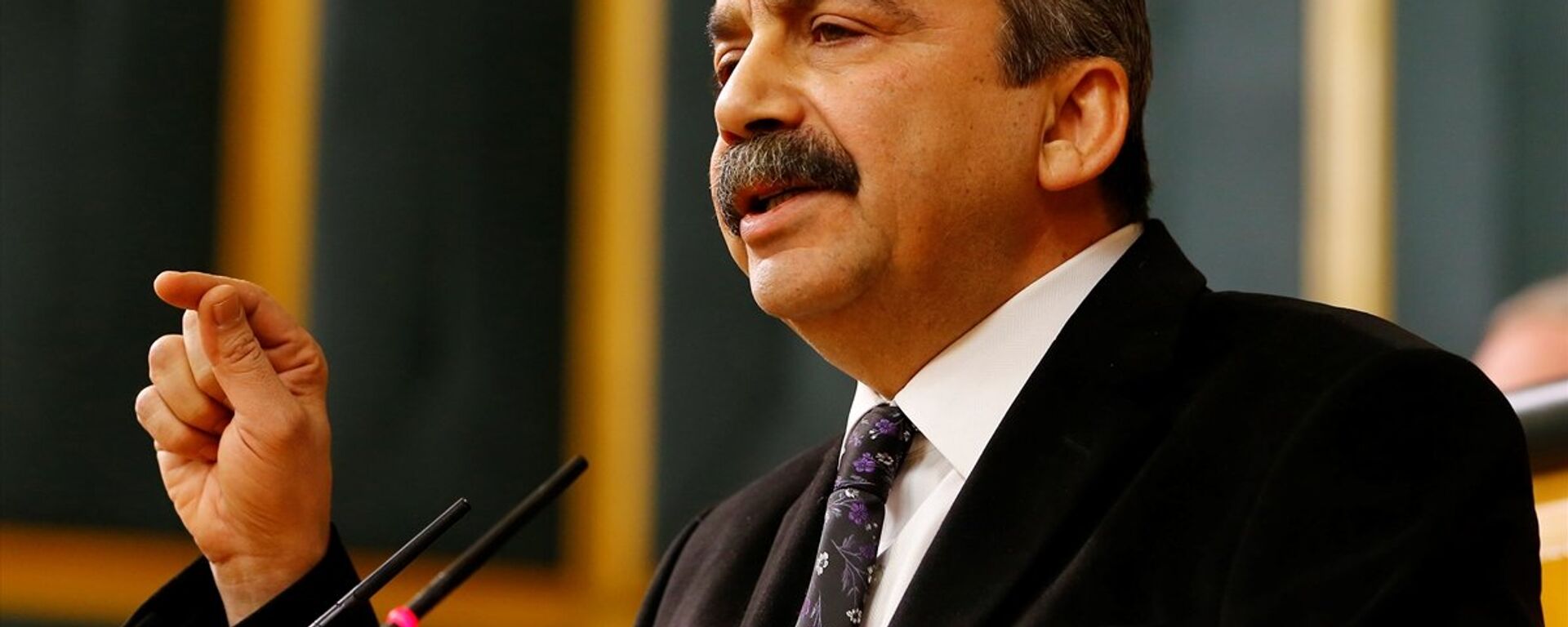 Sırrı Süreyya Önder HDP'nin grup toplantısında konuştu - Sputnik Türkiye, 1920, 16.04.2025