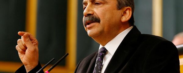 Sırrı Süreyya Önder HDP'nin grup toplantısında konuştu - Sputnik Türkiye