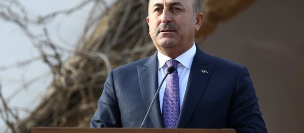Dışişleri Bakanı Mevlüt Çavuşoğlu - Sputnik Türkiye