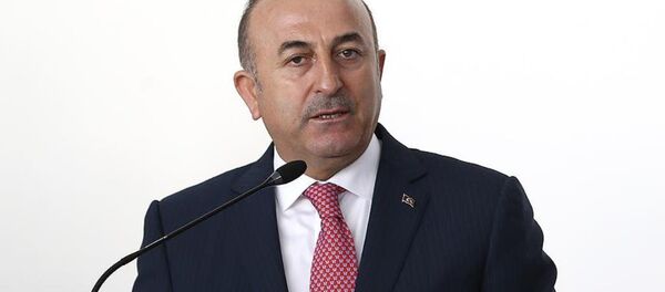 Mevlüt Çavuşoğlu - Sputnik Türkiye