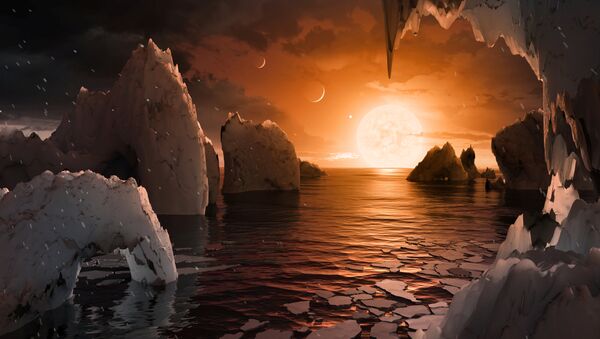 Yeni keşfedilen TRAPPIST-1 sistemindeki gezegenlerden biri olan TRAPPIST-1f'in olası yüzey görünümü - Sputnik Türkiye