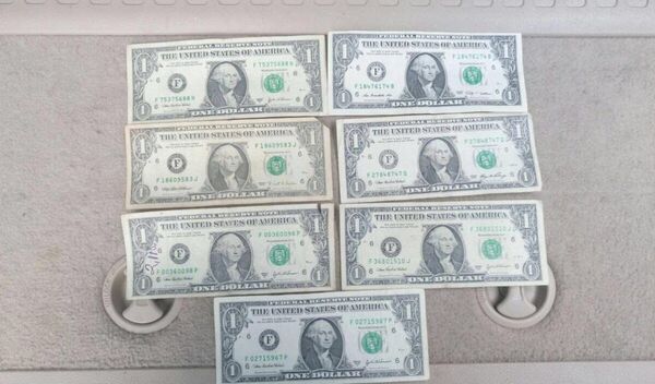 Uluçay'ın evinde yapılan aramada ise 7 'F' serisi, 7 'B' serisi, 2 'K' serisi olmak üzere farklı serilerde 21 adet 1 dolar ele geçirildi. - Sputnik Türkiye