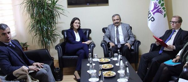 AP Türkiye Raportörü Kati Piti ve HDP ziyaretinde Sırrı Süreyya Önder ile görüştü - Sputnik Türkiye