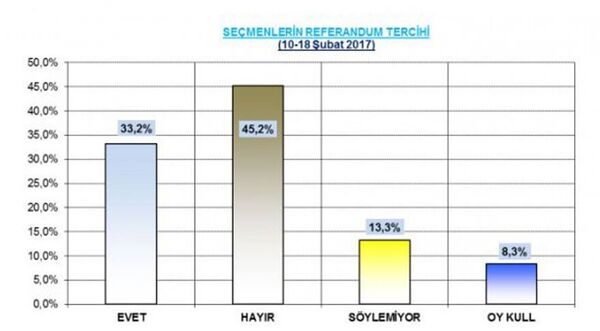 THEMİS Araştırma şirketinin referandum anket sonuçları - Sputnik Türkiye