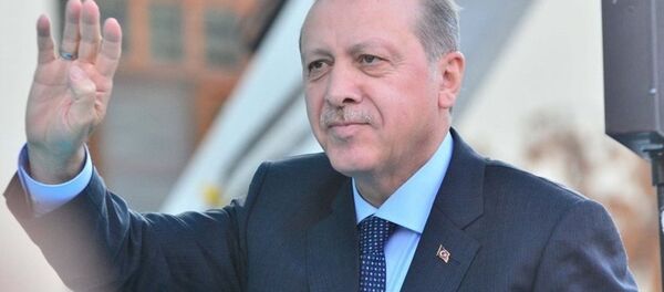 Türkiye Cumhurbaşkanı Recep Tayyip Erdoğan - Sputnik Türkiye