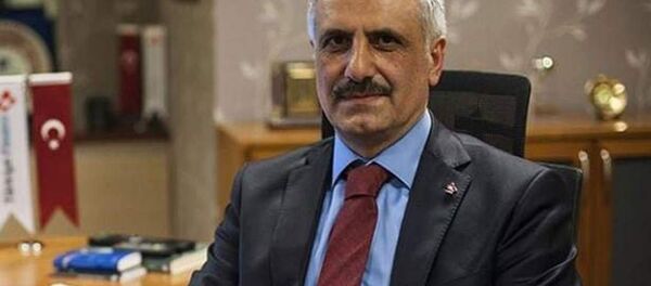 Hazine Müsteşarı Osman Çelik - Sputnik Türkiye