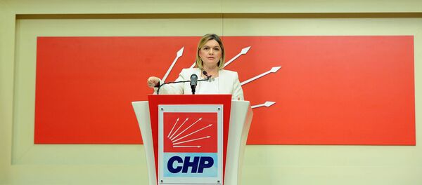 CHP Genel Başkan Yardımcısı ve Sözcüsü Selin Sayek Böke - Sputnik Türkiye