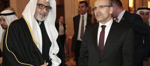 Kuveyt-Türkiye - Mehmet Şimşek Kuveyt-Türkiye - Mehmet Şimşek - Sputnik Türkiye