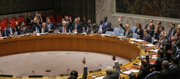 BM Güvenlik Konseyi - Sputnik Türkiye