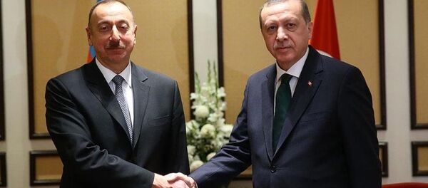 Recep Tayyip Erdoğan - İlham Aliyev - Sputnik Türkiye