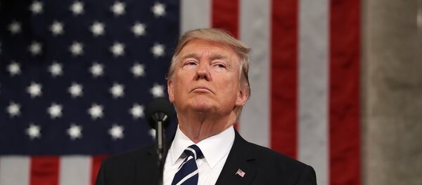 ABD Başkanı Donald Trump - Sputnik Türkiye