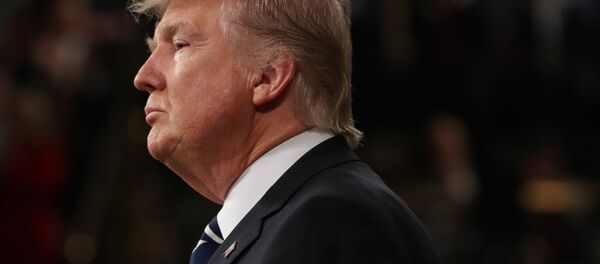 ABD Başkanı Donald Trump - Sputnik Türkiye