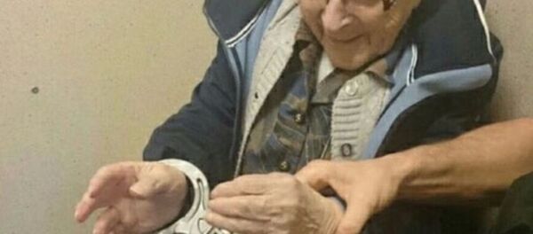 Hollandalı çılgın nine Annie - Sputnik Türkiye