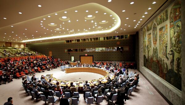 Birleşmiş Milletler Güvenlik Konseyi - Sputnik Türkiye