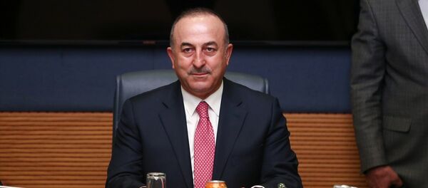 Dışişleri Bakanı Mevlüt Çavuşoğlu - Sputnik Türkiye