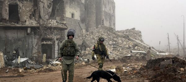 Halep - Sputnik Türkiye