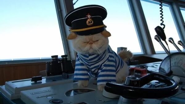 Rus yolcu gemisinin kedi çalışanları - Sputnik Türkiye