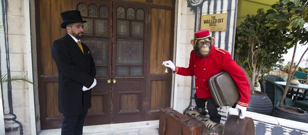 Banksy, Batı Şeria'da otel açtı - Sputnik Türkiye