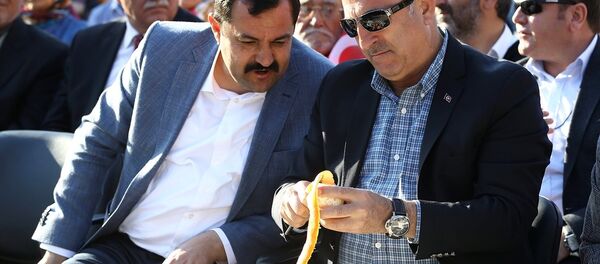 Dışişleri Bakanı Mevlüt Çavuşoğlu - Sputnik Türkiye