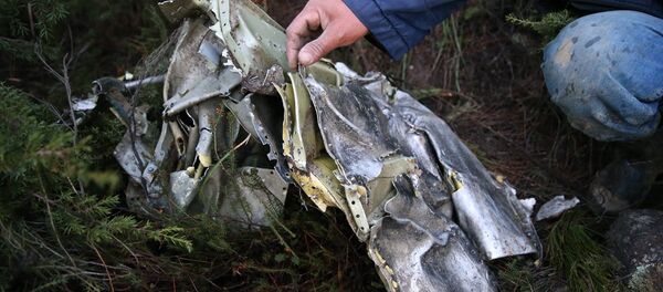 Hatay'a düşen Suriye uçağı - Sputnik Türkiye