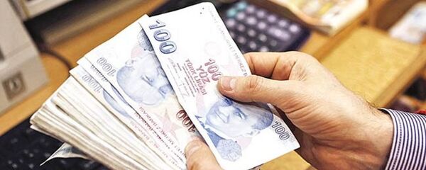 Türk Lirası banknot - Sputnik Türkiye