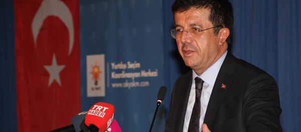 Ekonomi Bakanı Nihat Zeybekci - Sputnik Türkiye