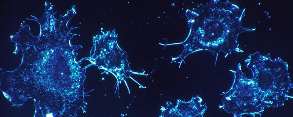 Kanser hücreleri - Sputnik Türkiye