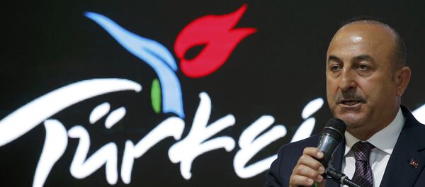 Mevlüt Çavuşoğlu - Sputnik Türkiye