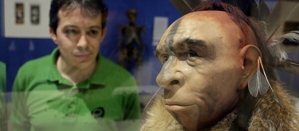 İspanya'daki bir müzede bulunan ve gerçeğine uygun hazırlanan Neandertal modelini inceleyen bir ziyaretçi - Sputnik Türkiye