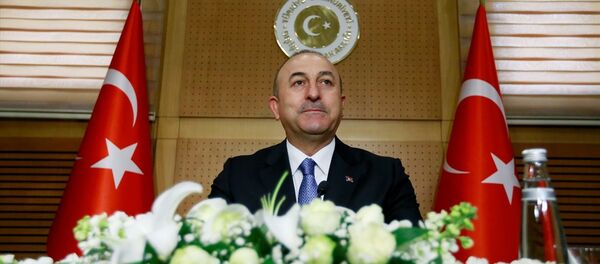 Dışişleri Bakanı Mevlüt Çavuşoğlu - Sputnik Türkiye