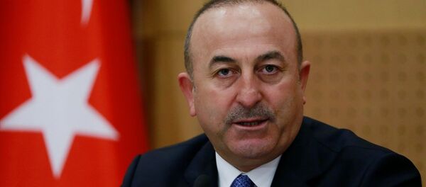 Dışişleri Bakanı Mevlüt Çavuşoğlu - Sputnik Türkiye