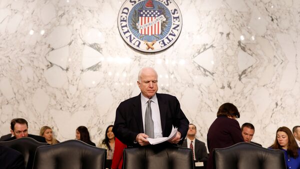 Arizona Senatörü John McCain - Sputnik Türkiye