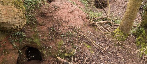 İngiltere'de tavşan deliğinden yeraltı tapınağı çıktı - Sputnik Türkiye