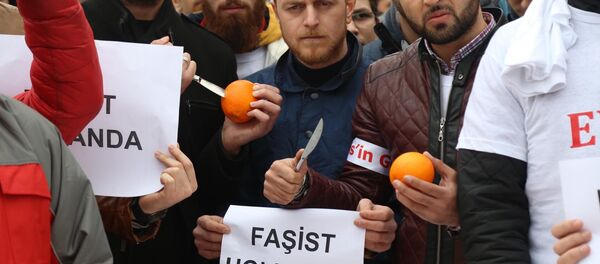 Ak Partili gençler Hollanda'yı portakal bıçaklayarak protesto etti - Sputnik Türkiye