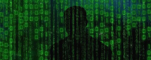 Türk hackerlardan Hollanda'ya siber saldırı - Sputnik Türkiye