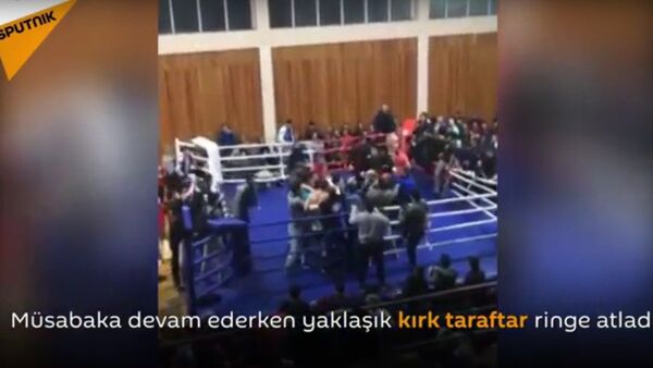 Dağıstan’da dövüş maçında taraftarlar kavga çıkardı - Sputnik Türkiye